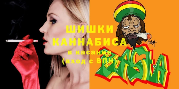 стаф Россошь
