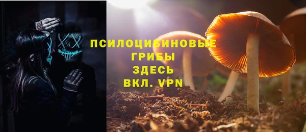 ГАЛЛЮЦИНОГЕННЫЕ ГРИБЫ Аркадак