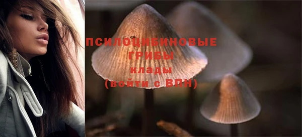 хмурый Рославль