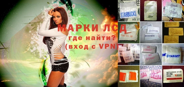 ГАЛЛЮЦИНОГЕННЫЕ ГРИБЫ Аркадак