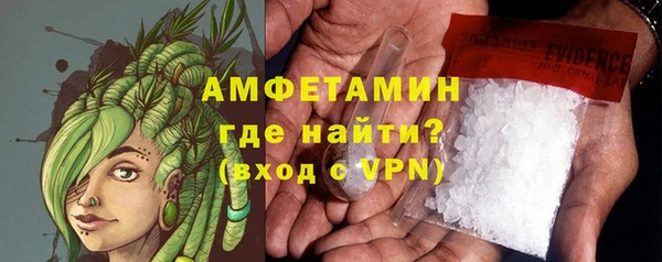 ГАЛЛЮЦИНОГЕННЫЕ ГРИБЫ Аркадак