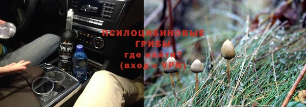 ГАЛЛЮЦИНОГЕННЫЕ ГРИБЫ Аркадак